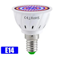 
              3PCS LED Grow Full Spectrum Bulb E27 E14 GU10 MR16 220V Greenhouse Hydroponic Lamp Grow Light For Indoor Plant Phyto FlowerLamp - Premium  from dser - Just $11.95! Shop now at Yard Agri Supply
            