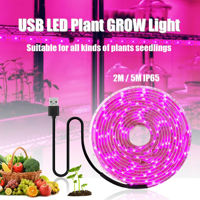 5V USB Led Plant Growing Light 2M 5M Full Spectrum Hydroponic Grow Lamps Indoor Plants Greenhouse Flowers Seeds Phyto Lamp Strip - Premium  from dser - Just $8.95! Shop now at Yard Agri Supply