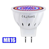 
              3PCS LED Grow Full Spectrum Bulb E27 E14 GU10 MR16 220V Greenhouse Hydroponic Lamp Grow Light For Indoor Plant Phyto FlowerLamp - Premium  from dser - Just $11.95! Shop now at Yard Agri Supply
            